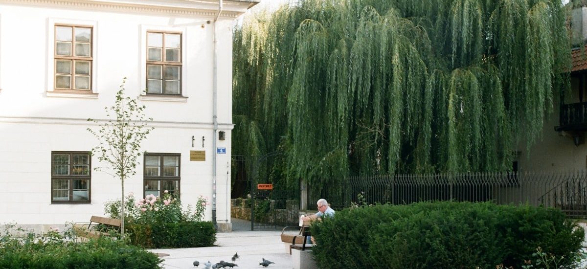 a man sitting on a bench in front of a tree