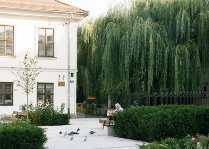 a man sitting on a bench in front of a tree
